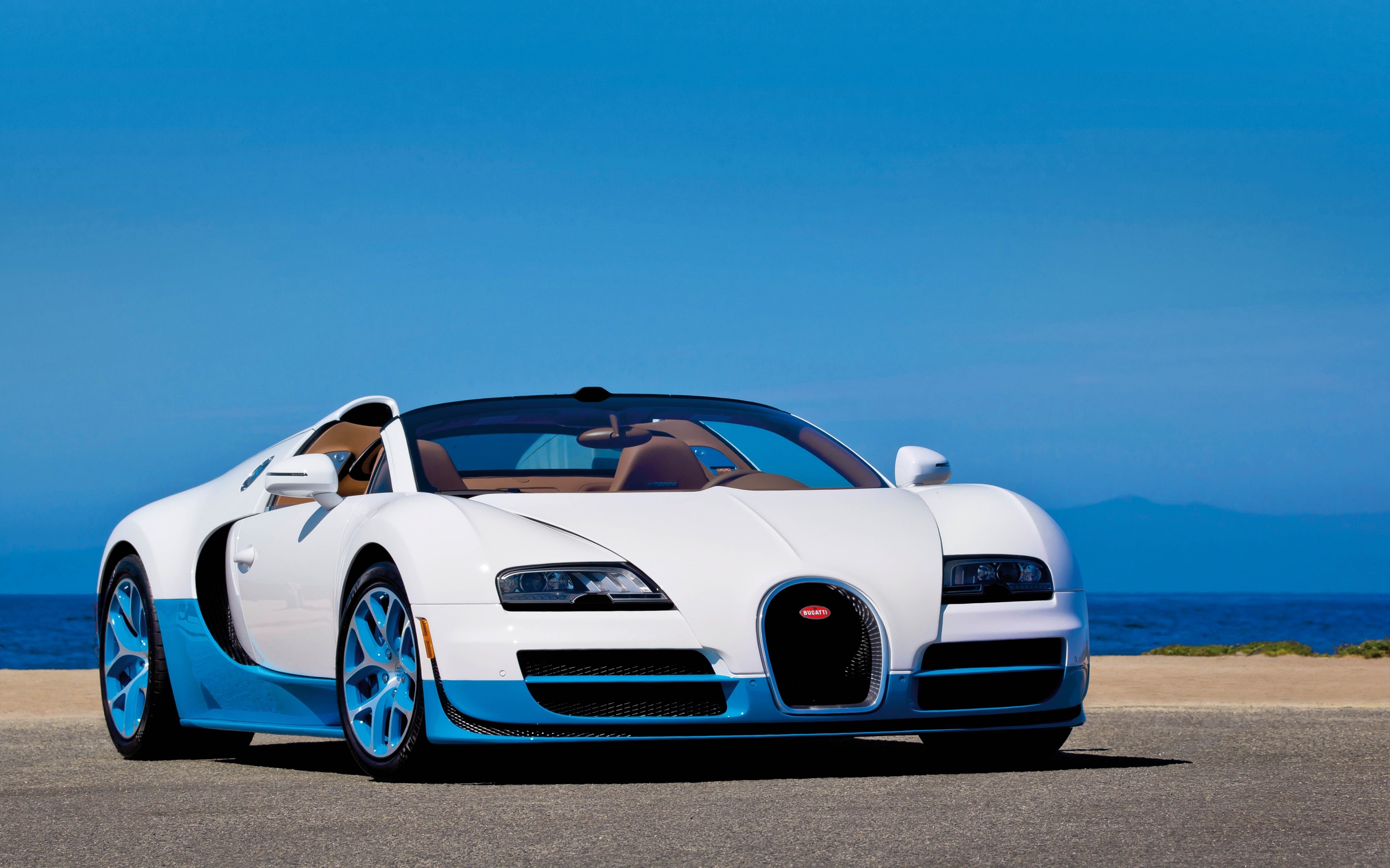 Bugatti Veyron for 2880 x 1800 Retina Display resolution