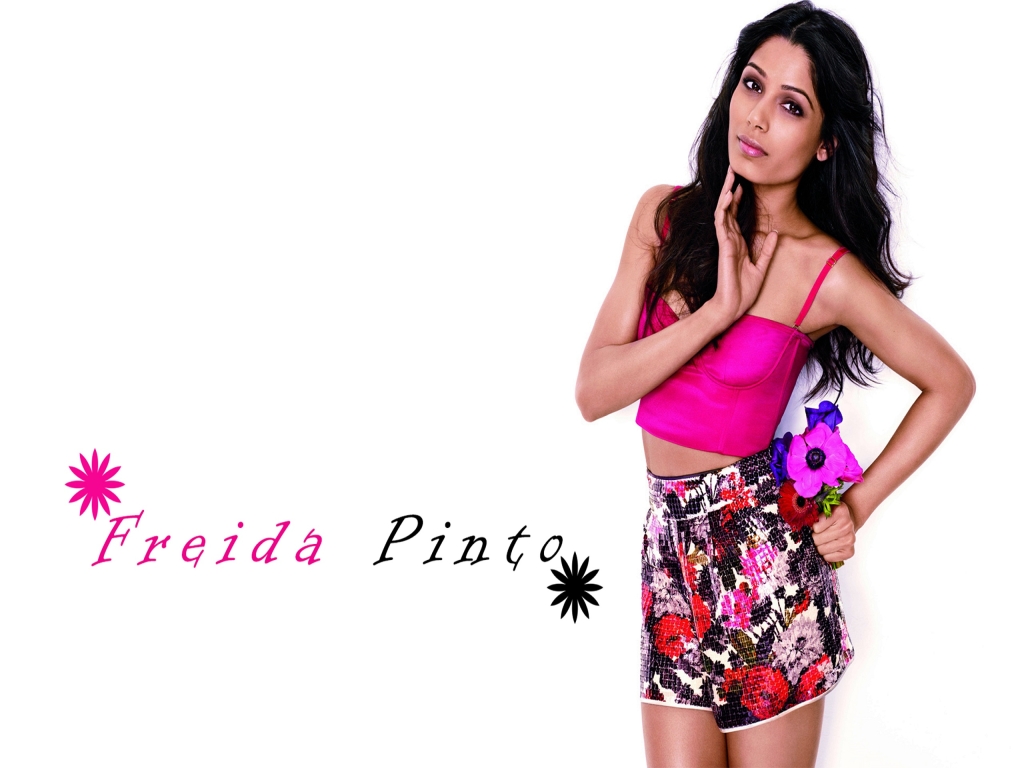 Glamorous Freida Pinto for 1024 x 768 resolution