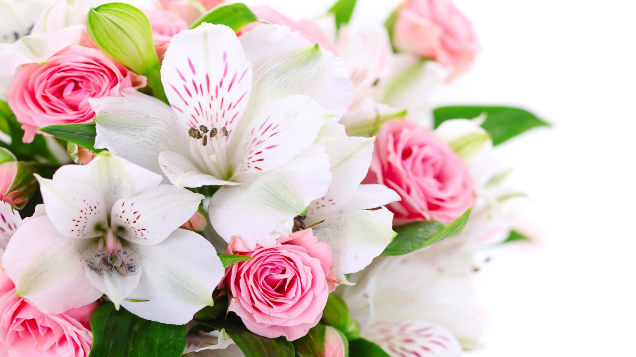Pink Roses and White Lilies  for 1280 x 720 HDTV 720p resolution