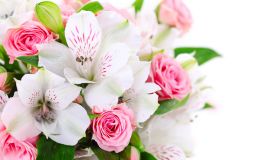 Pink Roses and White Lilies  Wallpaper
